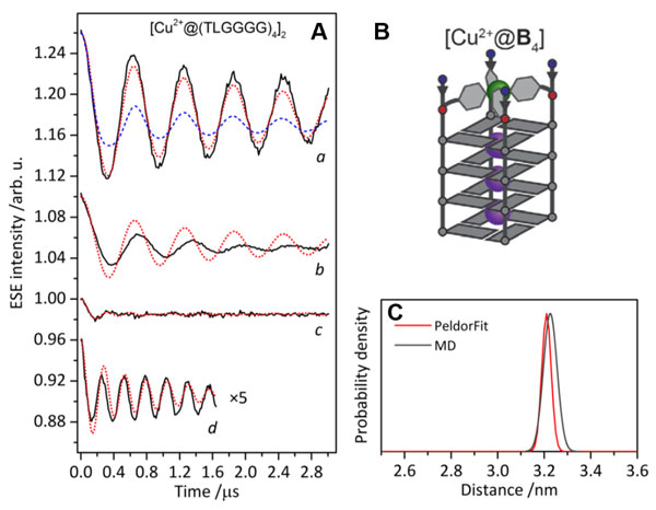 application-Electron-Electron Double Resonance in DNA Structure Analysis-Fig2