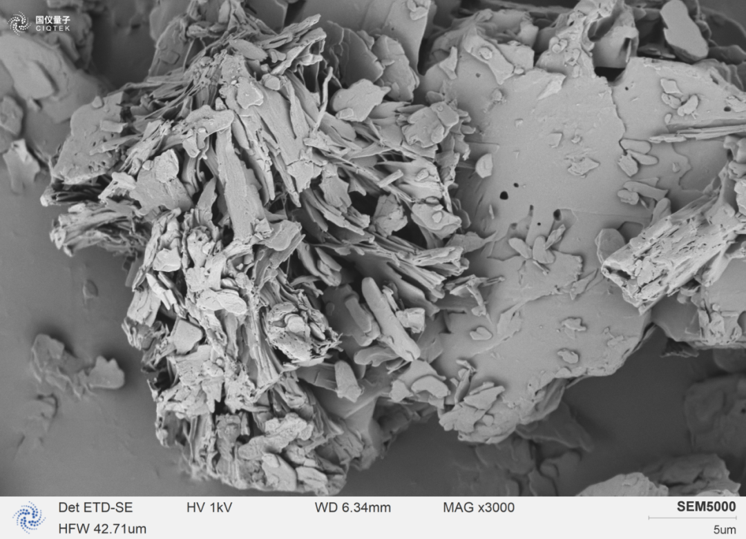 SEM5000 clearly observes the growth of magnesium stearate flake layer