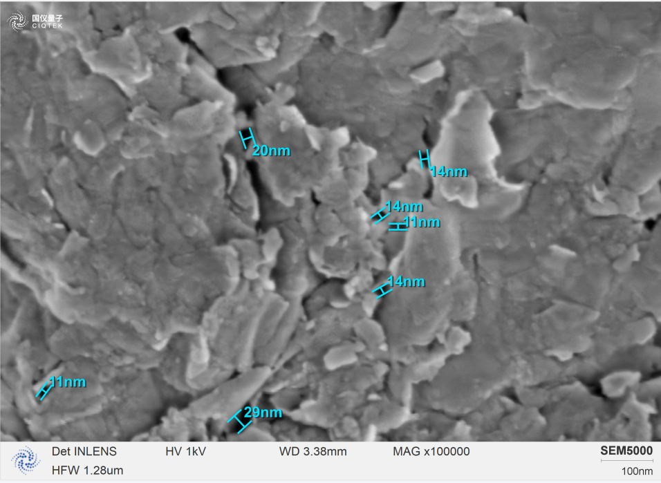 SEM5000 can clearly identify the individual lamellar crystallites at a high magnification of 100,000 and can analyze their pore size.