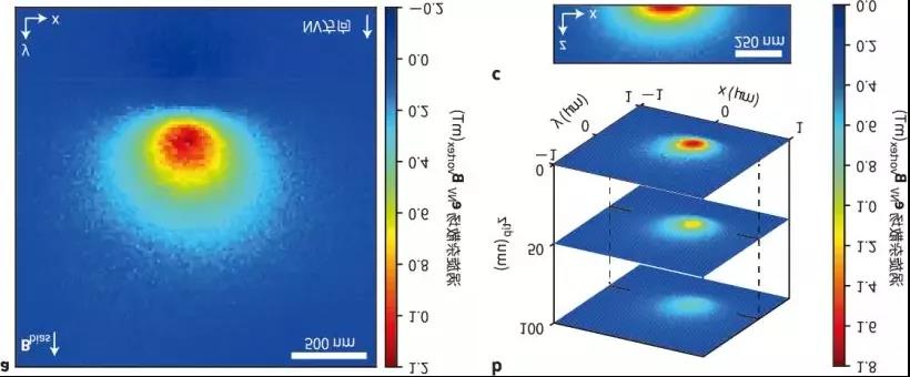 Quantitative Imaging of Spurious Fields of Single Magnetic Vortices
