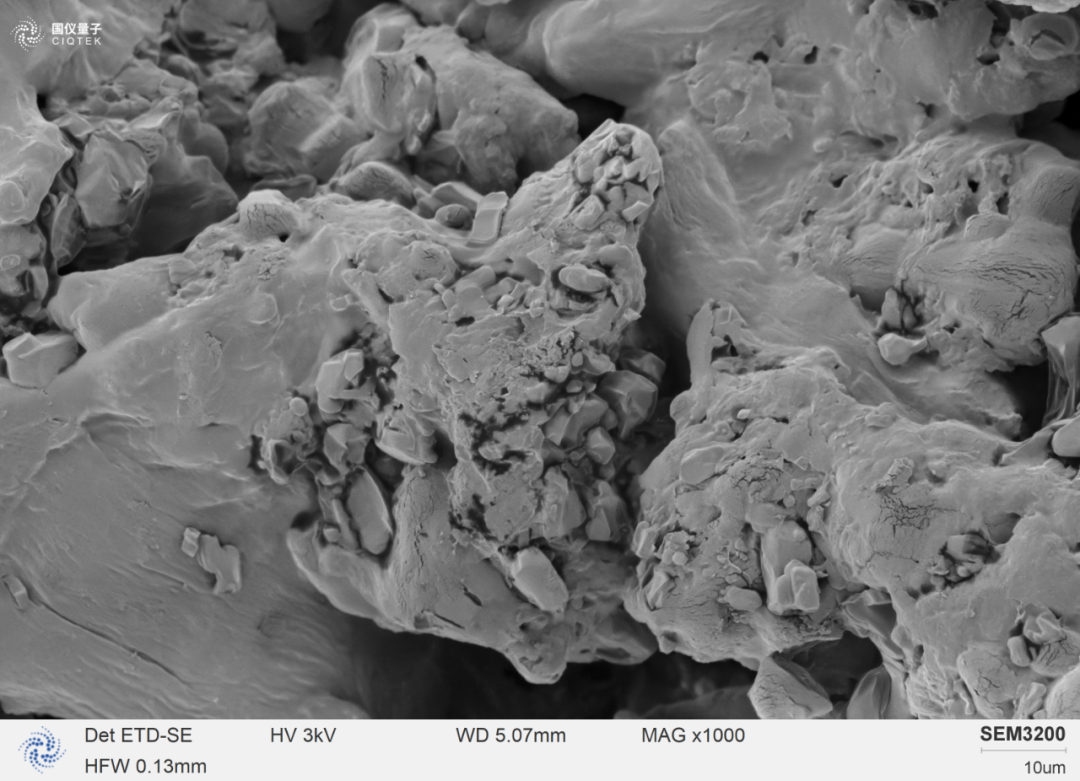SEM3200 can clearly observe the surface morphology of ibuprofen particles
