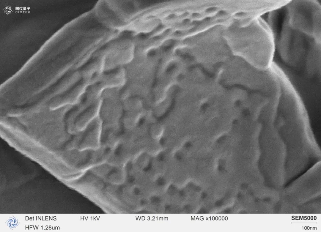 SEM5000 observed the magnesium stearate flakes at high magnification of 100,000
