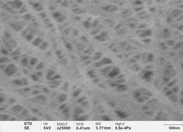 Figure a: Lithium battery septum photographed by conventional tungsten filament SEM, with blurred and unclear details