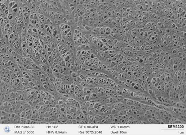 Figure b: SEM3300 photographed lithium battery diaphragm, diaphragm pores clearly visible, the sharp edge of the hole