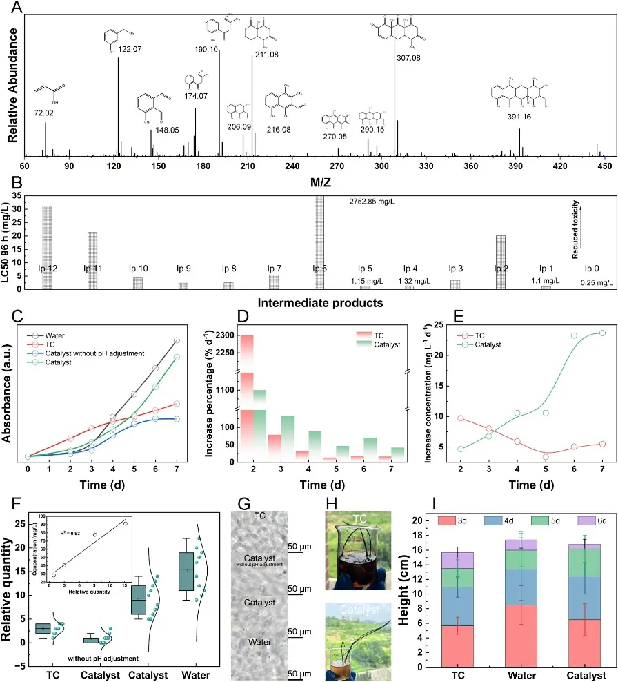 Figure 4. Low Toxicity of Intermediates and Reuse of Treated Water in Aquatic Systems
