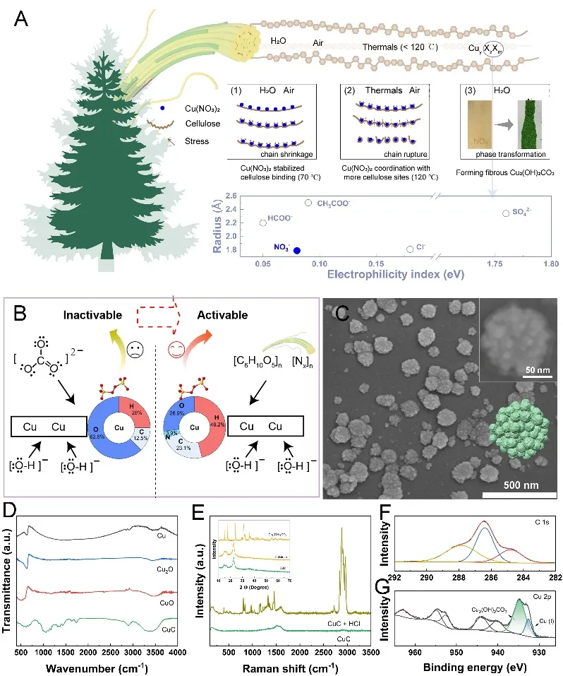 Figure 1. Preparation and Characterization of the Catalyst**