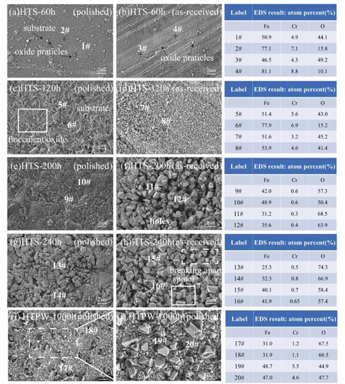 Figure 1. SEM images and EDS point scans (#1–#20) of CLF-1 surfaces under HTS and HTPW.