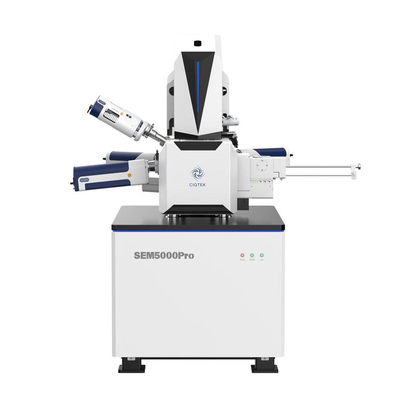 field emission scanning electron microscopy