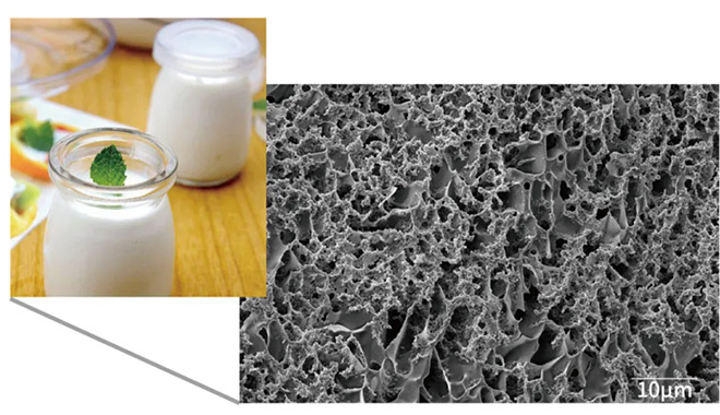 CIQTEK Cryo-SEM Solution Enables Damage-Free, High-Resolution Imaging of Biological Samples